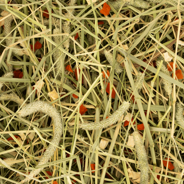 Deli Nature (Дели Натур) Timothy Hay - Carrot & Parsnip - Сено тимофеевки для грызунов с морковью и пастернаком 0,6 кг