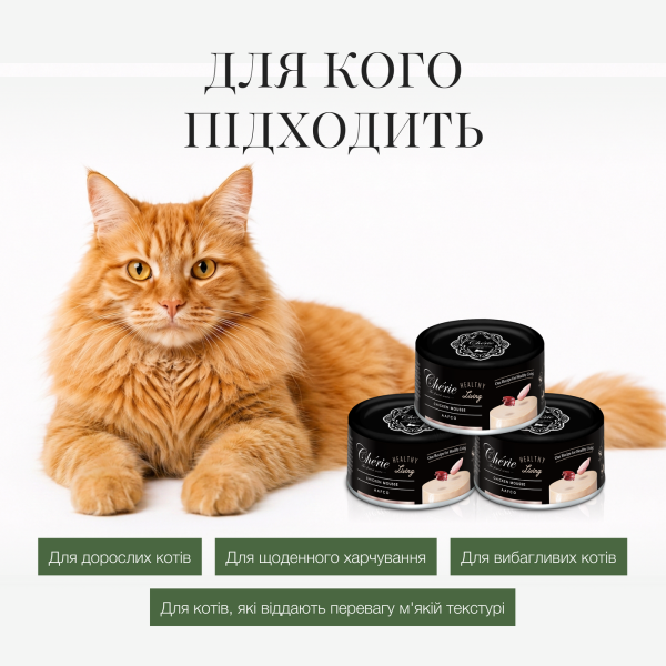 Cherie (Чери) Cat Grain Free Chicken Healthy Living Mousse Adult - Влажный беззерновой корм для взрослых котов мусс с мясом курицы 80 г Cherie (Чери) Cat Grain Free Chicken Healthy Living Mousse Adult - Влажный беззерновой корм для взрослых котов мусс с мясом курицы 80 г