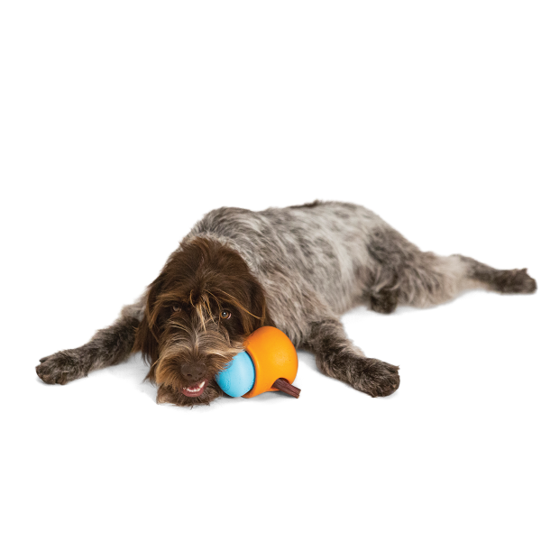 West Paw (Вест Пав) Toppl Treat Toy Aqua Blue XL - Игрушка для умеренного грызения лакомства для собак 12 см