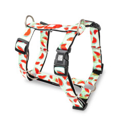 Max & Molly ( Макс Моллі) H-Harness Watermelon L - Шлея для собак з кавуном принтом