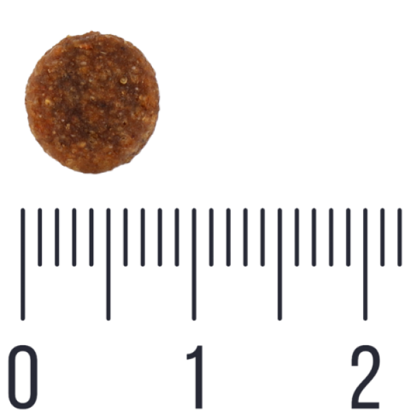 Quattro (Кватро) Dog Grain Free Duck Junior Mini - Сухой беззерновой корм для щенков мелких пород возрастом от 2 до 12 месяцев с мясом утки 7 кг Quattro (Кватро) Dog Grain Free Duck Junior Mini - Сухой беззерновой корм для щенков мелких пород возрастом от 2 до 12 месяцев с мясом утки 7 кг