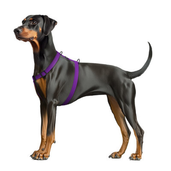 WauDog (ВауДог) Magnet - Шлея для собак анатомическая водостойкая с магнитной пряжкой фиолетовая (Ш 25 мм, А 50-85 см, В 61-100 см) L