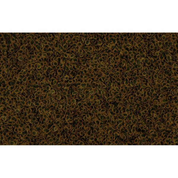 Tetra PRO (Тетра Про) Algae Multi-Crisps - Корм для травоядных рыб, с овощами (чипсы) 250 мл