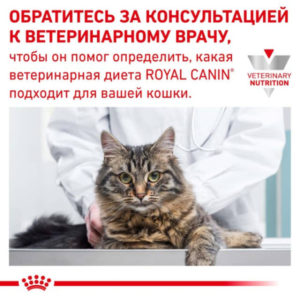 Влажный корм для взрослых стерилизованных котов с мясом птицы Royal Canin (Роял Канин) Cat Neutered Maintenance Adult Poultry 85 г