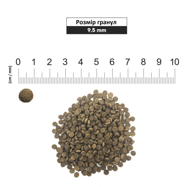 1st Choice (Фест Чойс) Cat Senior Less Aktiv - Сухий корм для котів літнього віку та малоактивних 350 г