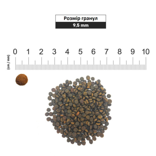 1st Choice (Фест Чойс) Cat Adult Indoor Vitality Chicken - Сухий корм для котів, що живуть у приміщенні 350 г