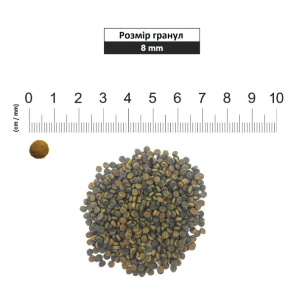 1st Choice (Фест Чойс) Kitten Healthy Start - Сухий корм для кошенят всіх порід з куркою 350 г