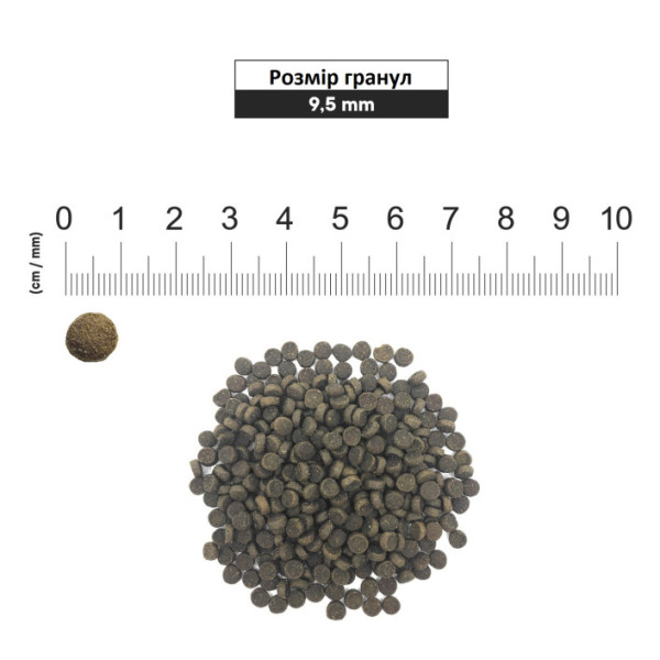 1st Choice (Фест Чойс) Cat Adult Healthy Skin & Coat - Сухий корм для котів для здорової шкіри та шерсті 350 г