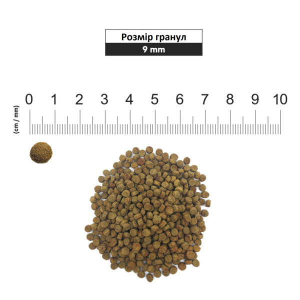 1st Choice (Фест Чойс) Cat Adult Sterilized Chicken - Сухий корм для котів після стерилізації з куркою 320 г