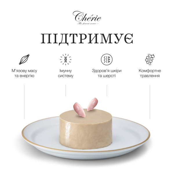 Cherie (Чери) Dog Grain Free Chicken Mousse Adult All Breeds - Влажный беззерновой корм для взрослых собак всех пород мусс с мясом курицы 90 г Cherie (Чери) Dog Grain Free Chicken Mousse Adult All Breeds - Влажный беззерновой корм для взрослых собак всех пород мусс с мясом курицы 90 г