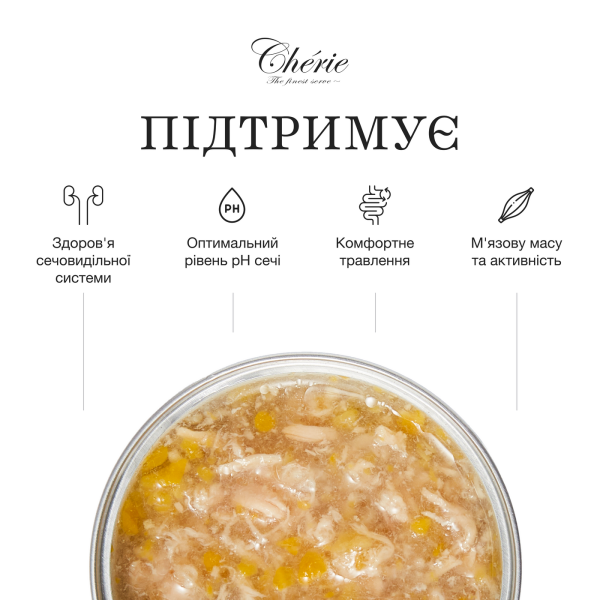 Cherie (Чери) Cat Grain Free Chicken & Pumpkin Urinary Care Adult - Влажный беззерновой корм для взрослых котов для поддержки мочевыводящей системы кусочки в соусе с мясом курицы и тыквой 80 г Cherie (Чери) Cat Grain Free Chicken & Pumpkin Urinary Care Adult - Влажный беззерновой корм для взрослых котов для поддержки мочевыводящей системы кусочки в соусе с мясом курицы и тыквой 80 г