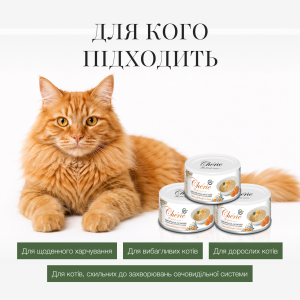 Cherie (Чери) Cat Grain Free Chicken & Pumpkin Urinary Care Adult - Влажный беззерновой корм для взрослых котов для поддержки мочевыводящей системы кусочки в соусе с мясом курицы и тыквой 80 г Cherie (Чери) Cat Grain Free Chicken & Pumpkin Urinary Care Adult - Влажный беззерновой корм для взрослых котов для поддержки мочевыводящей системы кусочки в соусе с мясом курицы и тыквой 80 г