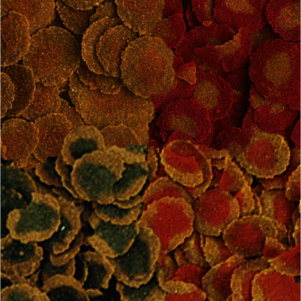 TetraPRO (ТетраПро) Multi-Crisps Menu - Корм для аквариумных рыб (чипсы) 250 мл