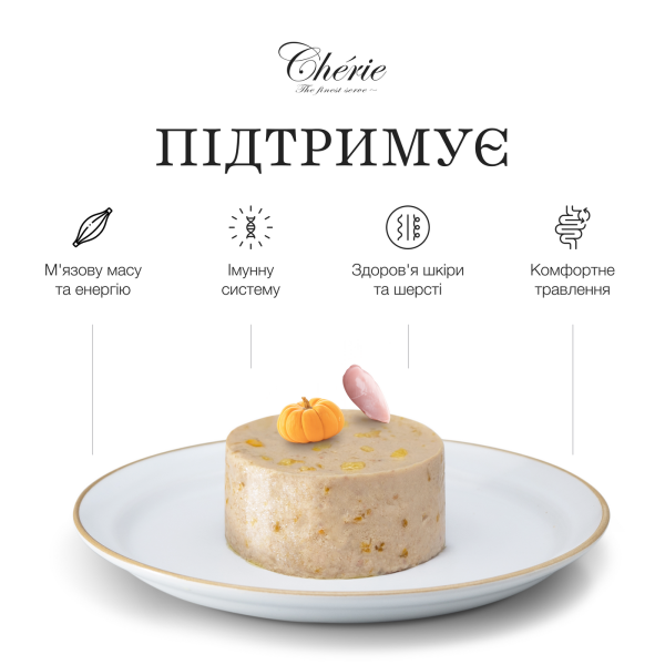 Cherie (Чери) Cat Grain Free Chicken & Pumpkin Mousse All Life Stages - Влажный беззерновой корм для котов всех возрастов мусс с мясом курицы и тыквой 90 г Cherie (Чери) Cat Grain Free Chicken & Pumpkin Mousse All Life Stages - Влажный беззерновой корм для котов всех возрастов мусс с мясом курицы и тыквой 90 г