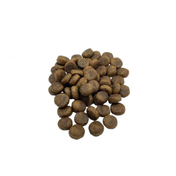 Quattro (Кватро) Dog Grain Free Duck Adult Mini - Сухой беззерновой корм для взрослых собак мелких пород с мясом утки 0.15 кг Quattro (Кватро) Dog Grain Free Duck Adult Mini - Сухой беззерновой корм для взрослых собак мелких пород с мясом утки 0.15 кг