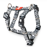 Max & Molly (Макс Молли) H-Harness Zebra XS - Шлея для собак с принтом зебра