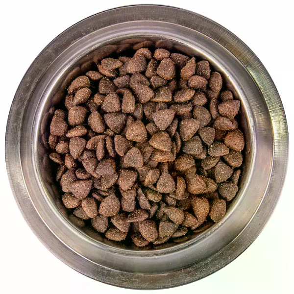 Monge (Монж) BWild Dog Low Grain Boar Adult All Breeds - Сухой корм для взрослых собак всех пород с мясом кабана 2.5 кг Monge (Монж) BWild Dog Low Grain Boar Adult All Breeds - Сухой корм для взрослых собак всех пород с мясом кабана 2.5 кг