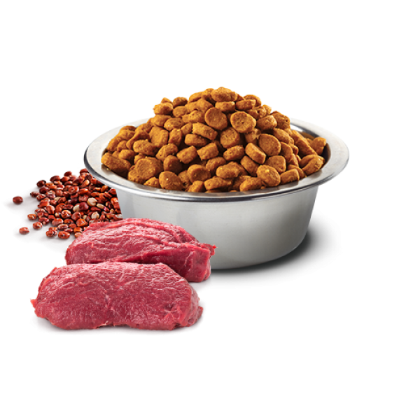 Farmina (Фармина) Dog N&D Quinoa Grain Free Venison & Coconut Skin & Coat Adult Medium & Maxi - Сухой беззерновой корм для взрослых собак средних и больших пород для здоровья кожи и шерсти с мясом оленины, кокосом и куркумой 2.5 кг Farmina (Фармина) Dog N&D Quinoa Grain Free Venison & Coconut Skin & Coat Adult Medium & Maxi - Сухой беззерновой корм для взрослых собак средних и больших пород для здоровья кожи и шерсти с мясом оленины, кокосом и куркумой 2.5 кг
