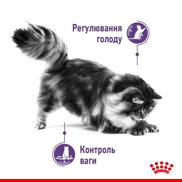 Royal Canin (Роял Канін) Appetite Control Care - Сухий корм для котів стерилізованих 0.4 кг