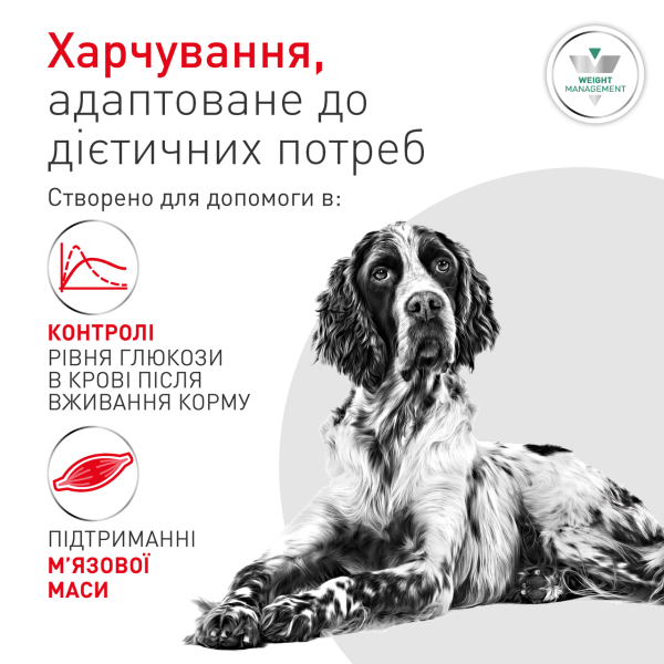 Royal Canin (Роял Канин) Glycobalance Low Carbohydrate Poultry - Влажный диетический корм для взрослых собак средних пород предназначенный для регулирования поступления глюкозы с мясом птицы 410 г