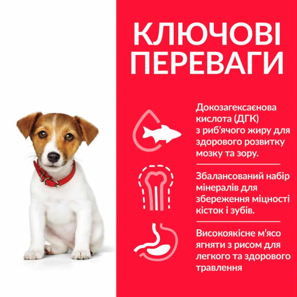 Hill's (Хилс) Science Plan Dog Lamb & Rice Puppy Small & Mini - Сухой корм для щенков мелких и миниатюрных пород с мясом ягнёнка и рисом 6 кг Hill's (Хилс) Science Plan Dog Lamb & Rice Puppy Small & Mini - Сухой корм для щенков мелких и миниатюрных пород с мясом ягнёнка и рисом 6 кг