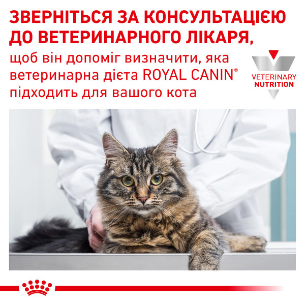 Royal Canin (Роял Канин) Cat Skin & Coat Adult Poultry - Влажный корм для взрослых котов для поддержания здоровья кожи при дерматозах и чрезмерном выпадении шерсти с мясом птицы 85 г