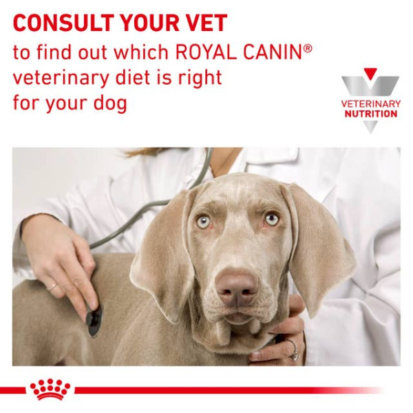 Royal Canin (Роял Канин) Dog Gastrointestinal High Fibre Adult Poultry - Сухой корм для взрослых собак всех пород при проблемах с пищеварением с мясом птицы 2 кг Royal Canin (Роял Канин) Dog Gastrointestinal High Fibre Adult Poultry - Сухой корм для взрослых собак всех пород при проблемах с пищеварением с мясом птицы 2 кг