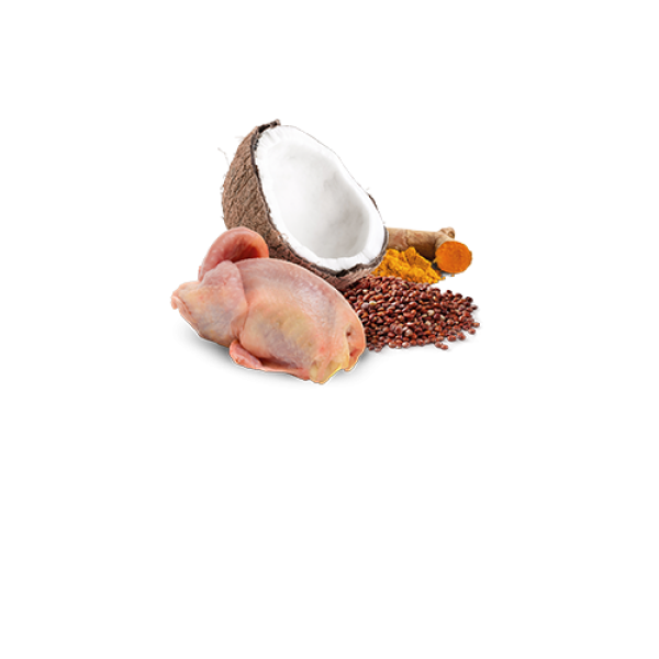 Farmina (Фармина) Dog N&D Quinoa Grain Free Skin & Coat Quail & Coconut Adult All Breed - Влажный беззерновой корм для взрослых собак всех пород для поддержания здоровья кожи и шерсти с мясом перепелы и кокосом 285 г Farmina (Фармина) Dog N&D Quinoa Grain Free Skin & Coat Quail & Coconut Adult All Breed - Влажный беззерновой корм для взрослых собак всех пород для поддержания здоровья кожи и шерсти с мясом перепелы и кокосом 285 г