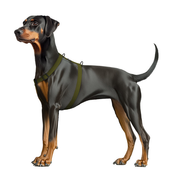 WauDog (ВауДог) Magnet - Шлея для собак анатомическая водостойкая с магнитной пряжкой хаки (Ш 25 мм, А 50-85 см, В 61-100 см) L