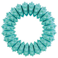 Trixie (Трикси) Denta Fun Ring - Игрушка для собак кольцо с мятой 12 см
