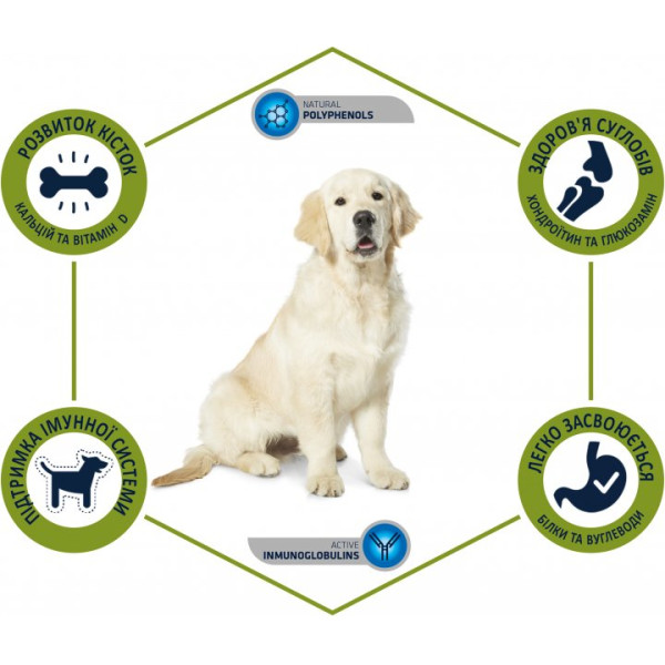 Advance (Едванс) Dog Maxi Junior Chicken & Rice - Сухий корм для молодих собак великих порід з куркою та рисом 14 кг