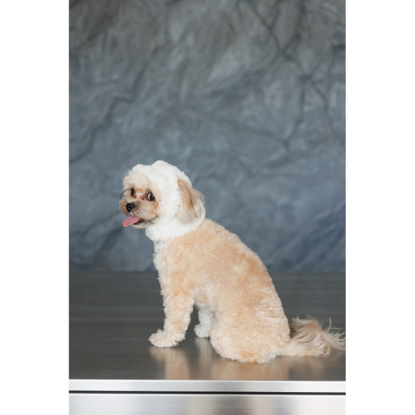 Pet Fashion (Пэт Фэшн) Teddy - Шапка для собак (Расстояние между ушками 8-9 см, Окружность головы 33-39 см) размер M