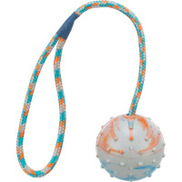 Trixie (Трикси) Ball on Rope - Игрушка шипованный мяч на канате для собак 30 см