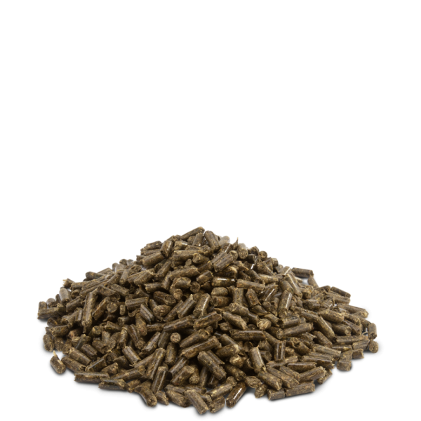 Versele-Laga (Версель Лага) Crispy Pellets Chinchillas & Degus - Корм для шиншил та дегу 25 кг