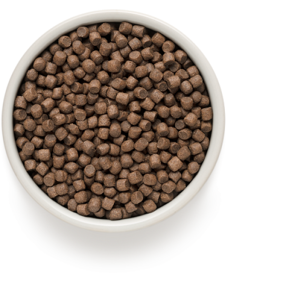 Grandorf (Грандорф) 4 Meat Adult Mini - Сухой гипоаллергенный корм для собак малых пород с 4 видами мяса и рисом 1 кг