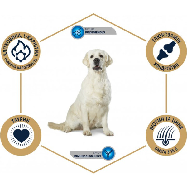 Advance (Едванс) Dog Labrador Golden Retriever Chicken - Cухий корм для лабрадорів та голден ретріверів з куркою 12 кг