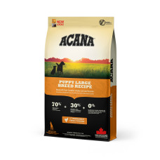 Acana (Акана) Puppy Large Breed - Сухий корм для цуценят великих порід курча і індичка 11.4 кг