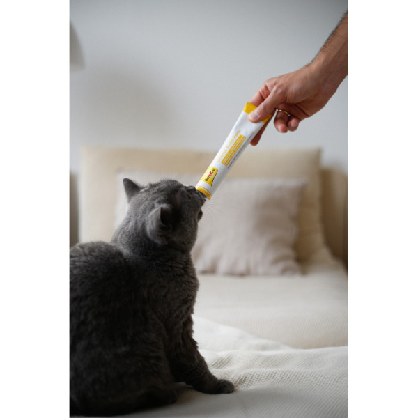 GimCat (ДжимКет) Cheese Biotin Paste - Паста для кошек творожная с биотином 100 г