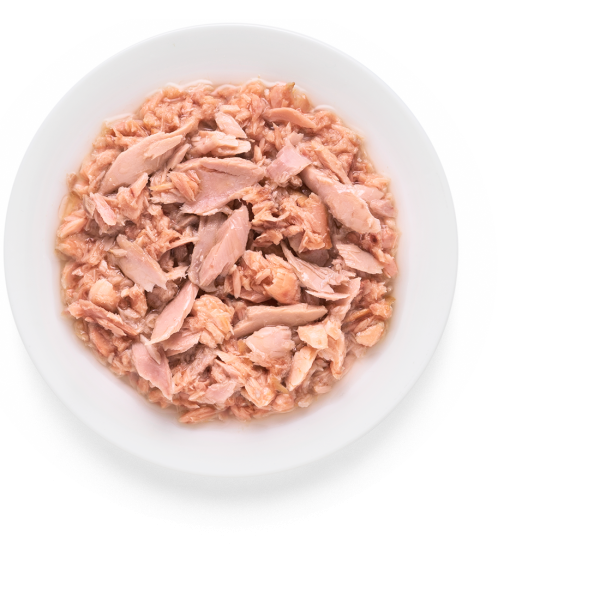 Grandorf (Грандорф) Grain Free Formula Tuna Fillet & Salmon - Влажный беззерновой корм для котов тунец с лососем 70 г
