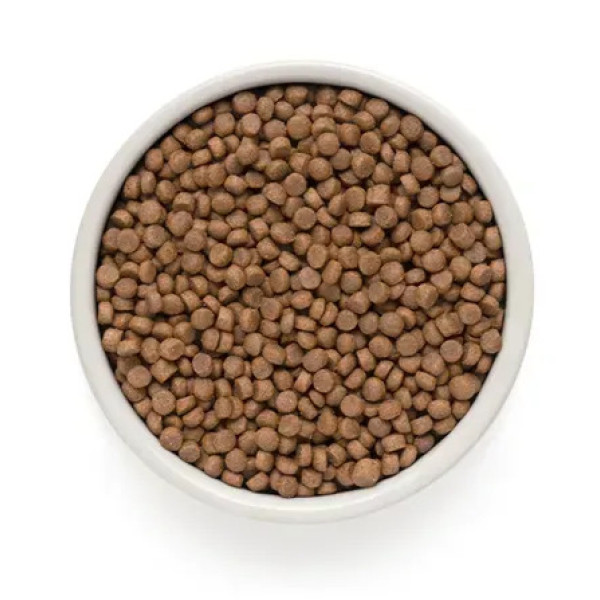 Grandorf (Грандорф) Living Probiotics 4 Meat Sterilized Adult - Сухой гипоаллергенный корм для взрослых стерилизованных котов с чувствительным пищеварением с 4 видами мяса 8 кг Grandorf (Грандорф) Living Probiotics 4 Meat Sterilized Adult - Сухой гипоаллергенный корм для взрослых стерилизованных котов с чувствительным пищеварением с 4 видами мяса 8 кг