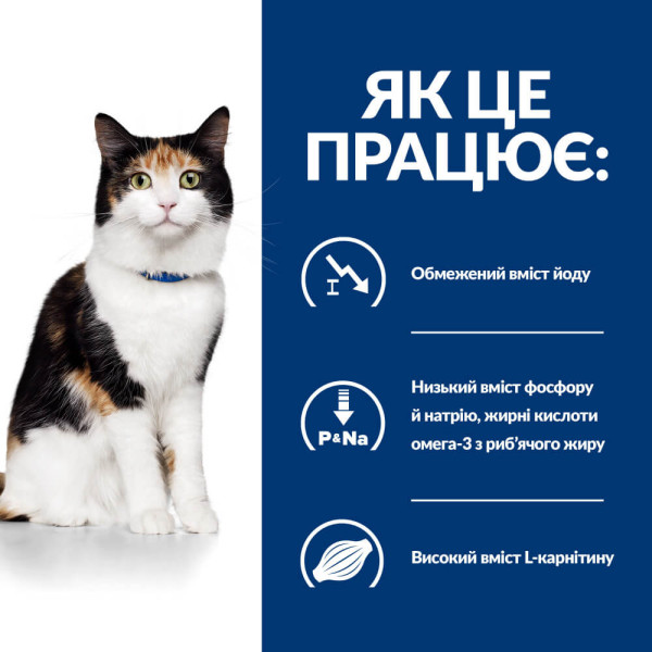 Hill’s (Хилс) Prescription Diet Cat Chicken & Turkey Y/D Thyroid Care Adult - Сухой лечебный корм для взрослых котов с проблемами щитовидной железы с мясом курицы и индейки 1.5 кг Hill’s (Хилс) Prescription Diet Cat Chicken & Turkey Y/D Thyroid Care Adult - Сухой лечебный корм для взрослых котов с проблемами щитовидной железы с мясом курицы и индейки 1.5 кг