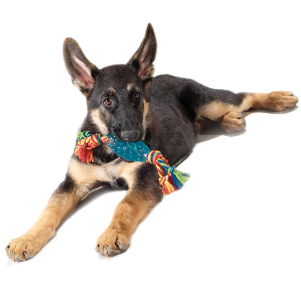 Petstages (Петстейдж) Orka Pine Cone Chew - Игрушка для собак синяя 10 см