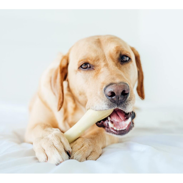 Іграшка для собак Petstages Chick-A-Bone Beige 17 см