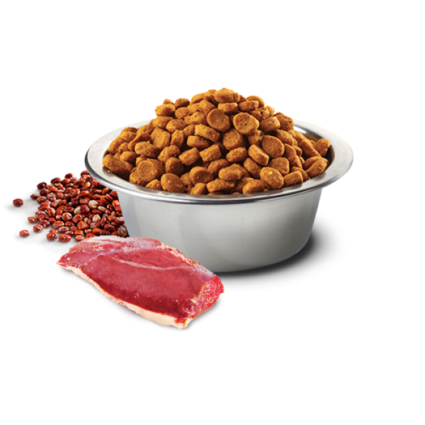 Farmina (Фармина) Dog Grain Free N&D Quinoa, Neutered Duck, Broccoli & Asparagus Adult Mini - Сухой беззерновой корм для собак мини пород с уткой, киноа, брокколи и спаржей 7 кг