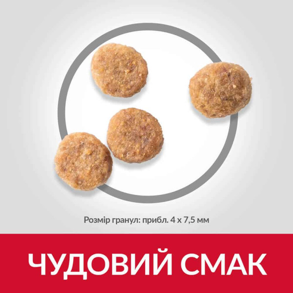 Сухой корм Hill`s (Хилс) Science Plan Dog Chicken Sensitive Stomach & Skin Adult Medium для взрослых собак мелких и миниатюрных пород с чувствительным пищеварением и кожей c мясом курицы 6 кг Сухой корм Hill`s (Хилс) Science Plan Dog Chicken Sensitive Stomach & Skin Adult Medium для взрослых собак мелких и миниатюрных пород с чувствительным пищеварением и кожей c мясом курицы 6 кг