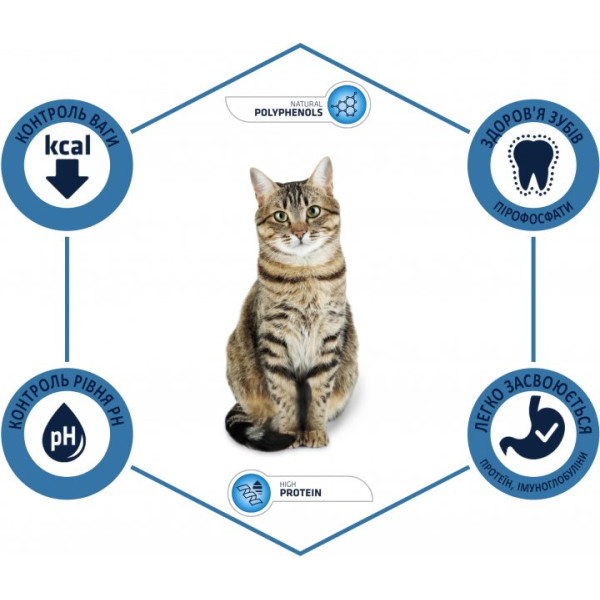 Advance Cat Chicken & Rice - Сухий корм для котів з куркою та рисом 0.4 кг