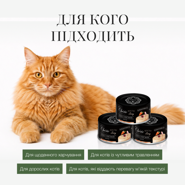 Cherie (Чери) Cat Grain Free Chicken & Carrot Healthy Living Mousse Adult - Влажный беззерновой корм для взрослых котов мусс с мясом курицы и морковью 80 г Cherie (Чери) Cat Grain Free Chicken & Carrot Healthy Living Mousse Adult - Влажный беззерновой корм для взрослых котов мусс с мясом курицы и морковью 80 г