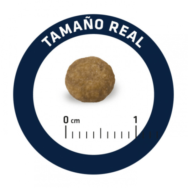 Advance Dog Mini Puppy Chicken & Rice - Сухий корм для цуценят дрібних порід з куркою та рисом 3 кг