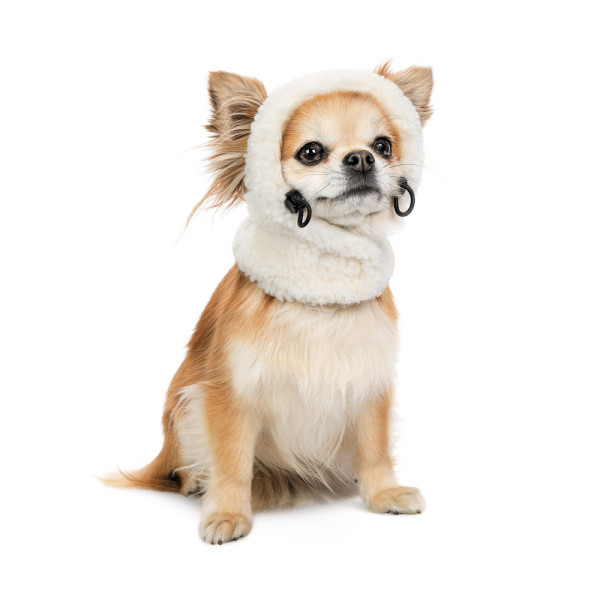 Pet Fashion (Пэт Фэшн) Teddy - Шапка для собак (Расстояние между ушками 7-8 см, Окружность головы 29-32 см) размер S