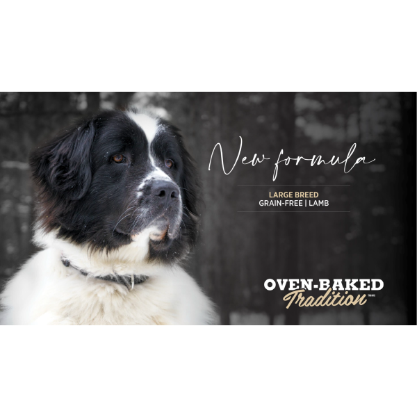 Oven-Baked (Овен-Бэйкд) Tradition Dog Grain Free Lamb All Life Stages Maxi & Giant - Сухой беззерновой корм для собак всех возрастов больших и гигантских пород с мясом ягнёнка 10.43 кг Oven-Baked (Овен-Бэйкд) Tradition Dog Grain Free Lamb All Life Stages Maxi & Giant - Сухой беззерновой корм для собак всех возрастов больших и гигантских пород с мясом ягнёнка 10.43 кг